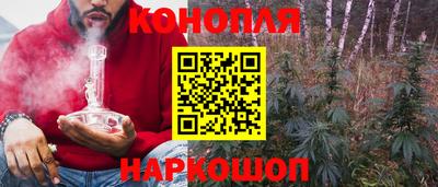 шишки Свободный