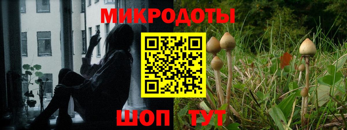 Галлюциногенные грибы ЛСД Тамбов